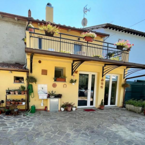 Sassaia11 Arezzo
